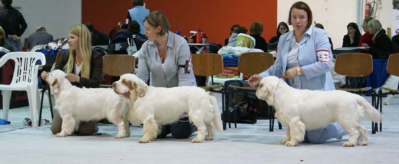 SSL19_Oct_2008_ST_SnowMercy_SnowHow_YesOrSnow