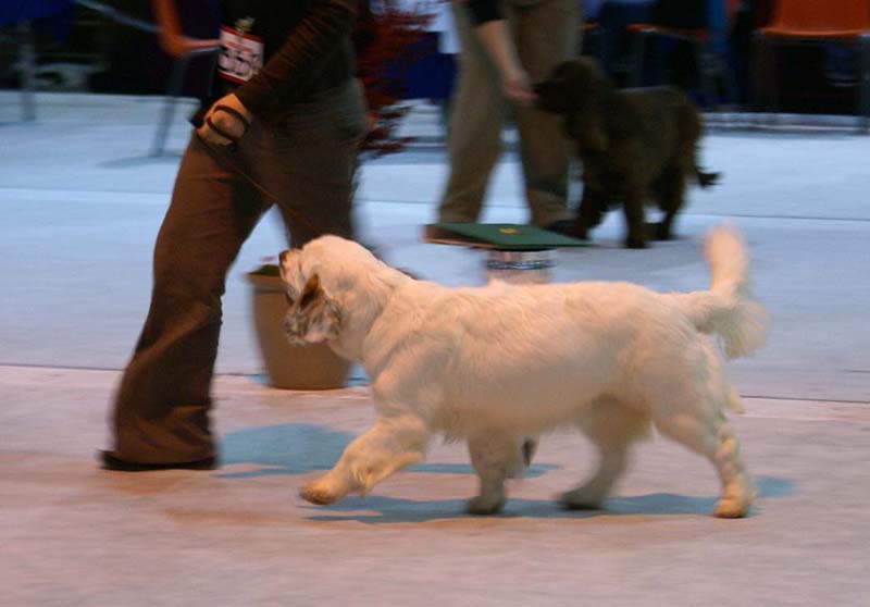 SSL19_Oct_2008_ST_SnowMercy_b