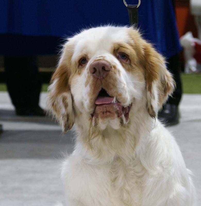 SSL19_Oct_2008_ST_TagHeuer