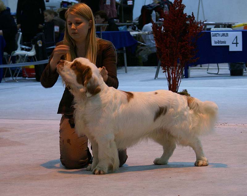 SSL19_Oct_2008_ST_VIkingHakon