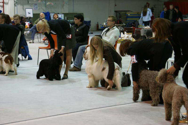 SSL19_Oct_2008_ST_VIkingHakon_BestInShow4_a