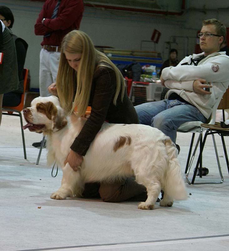 SSL19_Oct_2008_ST_VIkingHakon_BestInShow4_f