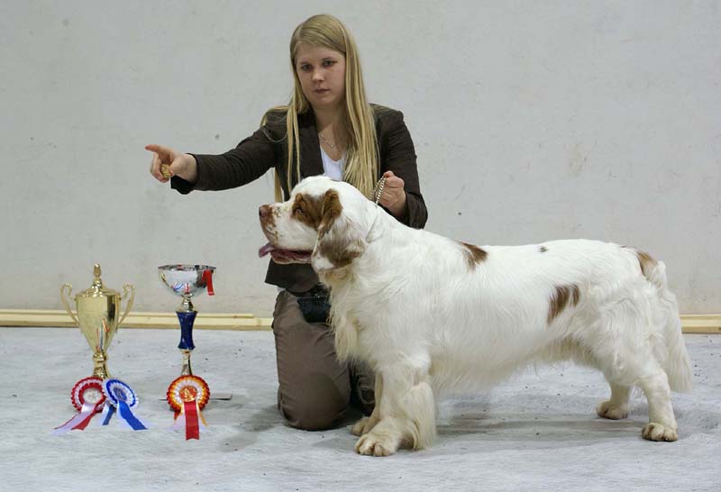 SSL19_Oct_2008_ST_VIkingHakon_BestOfBreed_b