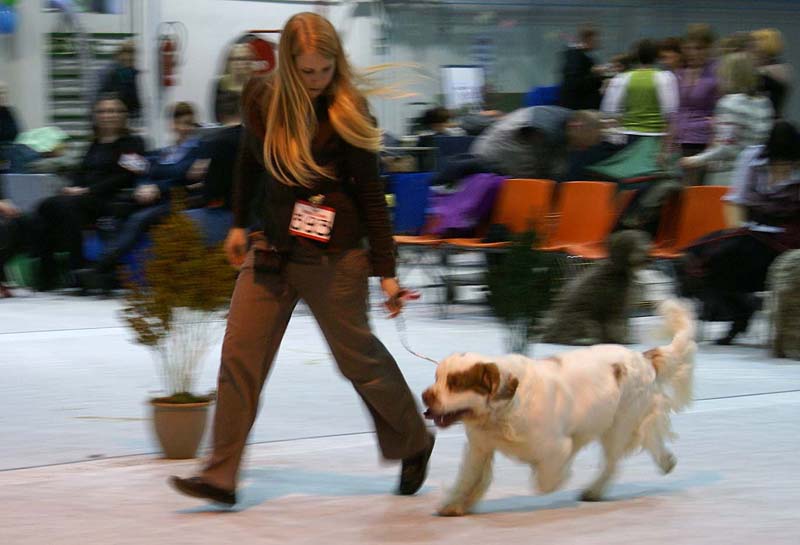 SSL19_Oct_2008_ST_VIkingHakon_c