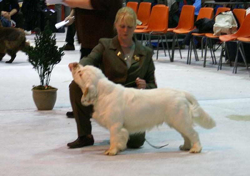 SSL19_Oct_2008_ST_YesOrSnow_c