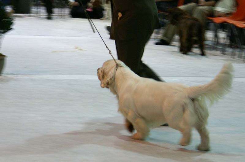 SSL19_Oct_2008_ST_YesOrSnow_e