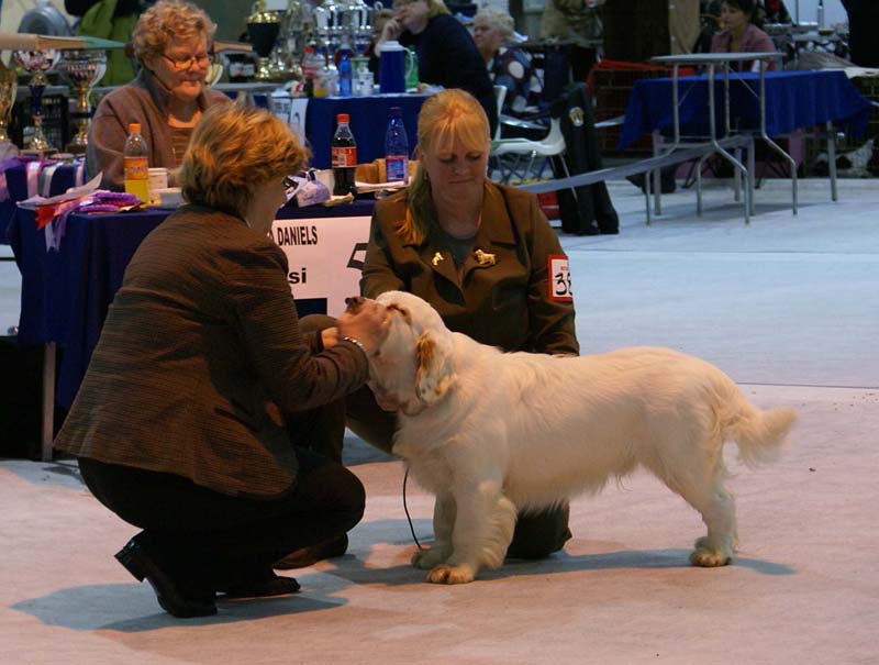 SSL19_Oct_2008_ST_YesOrSnow_g