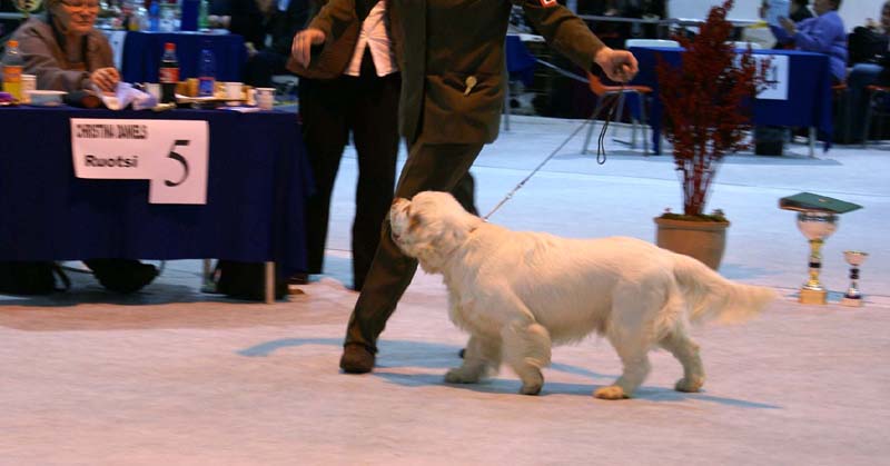 SSL19_Oct_2008_ST_YesOrSnow_h