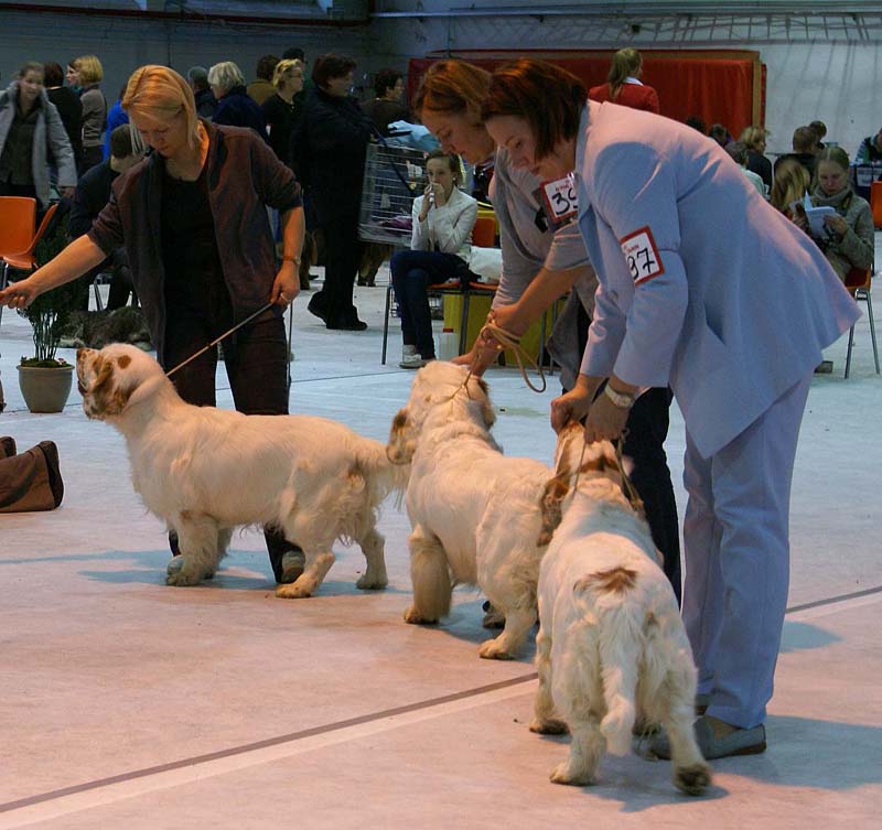 SSL19_Oct_2008_SpiceTwice_BreedersGroup