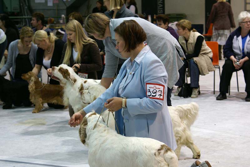 SSL19_Oct_2008_SpiceTwice_BreedersGroup_b