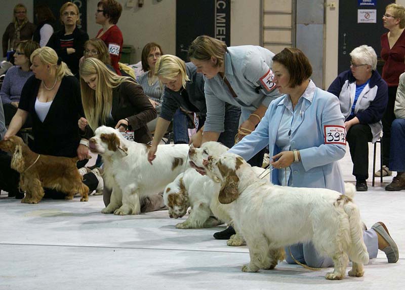 SSL19_Oct_2008_SpiceTwice_BreedersGroup_c