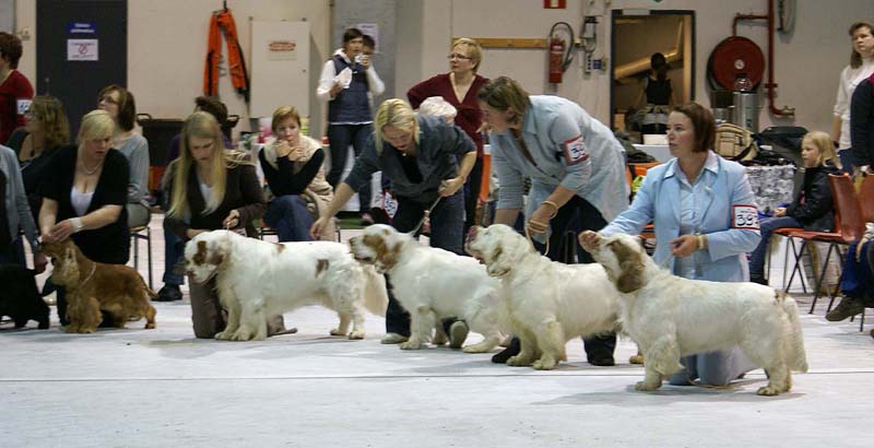 SSL19_Oct_2008_SpiceTwice_BreedersGroup_e