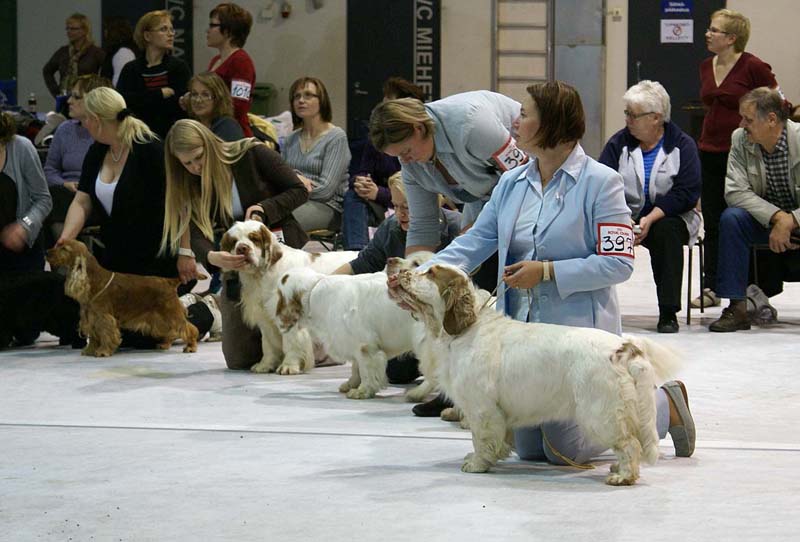 SSL19_Oct_2008_SpiceTwice_BreedersGroup_g