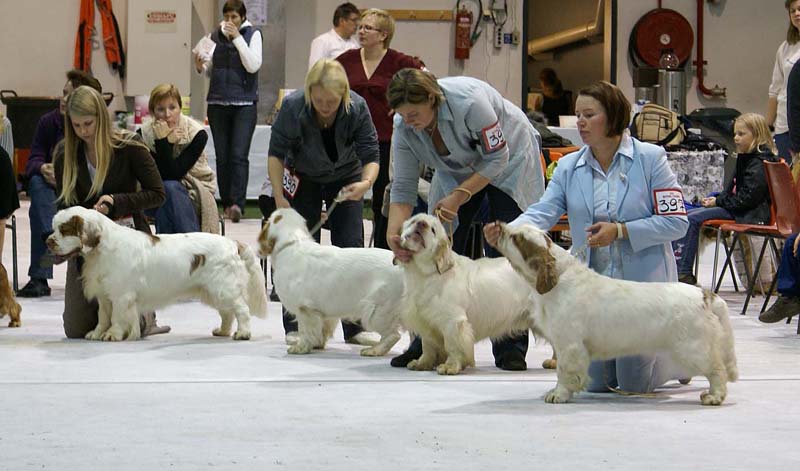 SSL19_Oct_2008_SpiceTwice_BreedersGroup_h