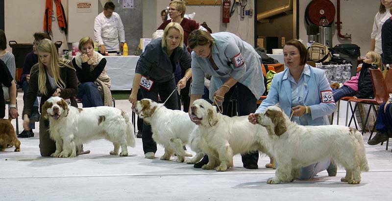 SSL19_Oct_2008_SpiceTwice_BreedersGroup_i