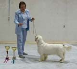 SSL19_Oct_2008_BumbaaMedvediSmecka_BestOfOppositeSex