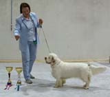 SSL19_Oct_2008_BumbaaMedvediSmecka_BestOfOppositeSex_d