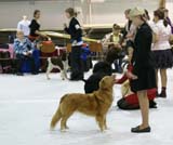 SSL19_Oct_2008_PauliinaHalme_JuniorHandling_d