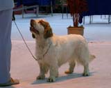 SSL19_Oct_2008_ST_HolyMoly_b