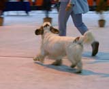 SSL19_Oct_2008_ST_HolyMoly_c