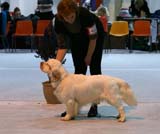 SSL19_Oct_2008_ST_RaymondWeil_b