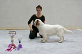 SSL19_Oct_2008_ST_SnowGo_BestOfBreedPuppy_b