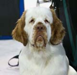 SSL19_Oct_2008_ST_SnowGo_b