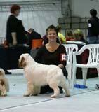 SSL19_Oct_2008_ST_SnowGo_e