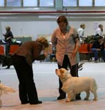 SSL19_Oct_2008_ST_SnowHow_d