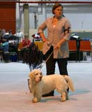 SSL19_Oct_2008_ST_SnowHow_e