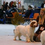 SSL19_Oct_2008_ST_VIkingHakon_d