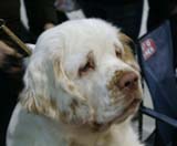 SSL19_Oct_2008_ST_YesOrSnow