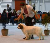 x_SSL19_Oct_2008_Millijors_Cheddar