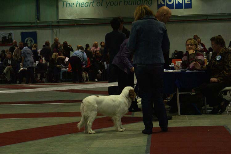 0_PuppyClassBitch_Diabf_CanCan