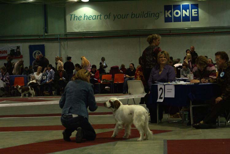 0_PuppyClassBitch_Diabf_CanCan_c