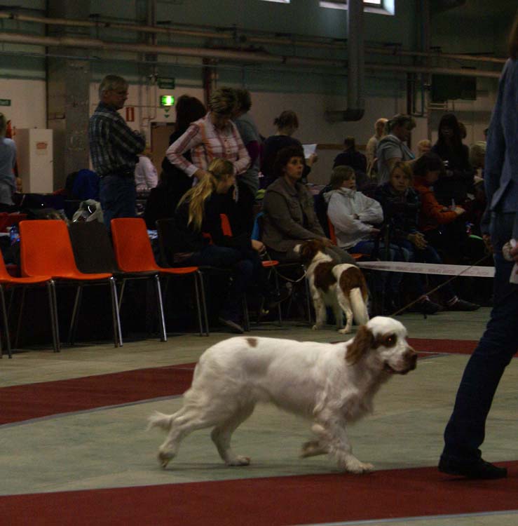 0_PuppyClassBitch_Diabf_CanCan_d