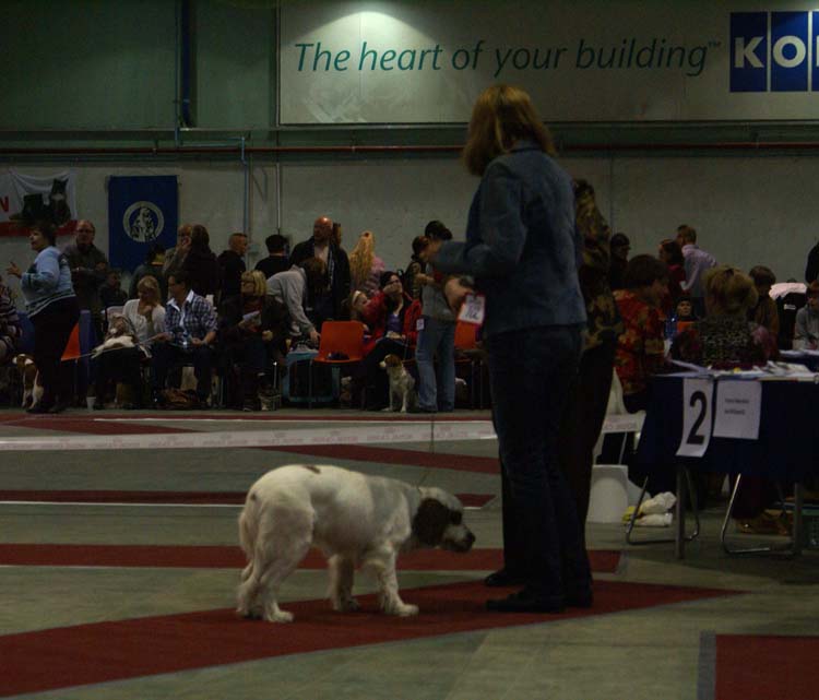 0_PuppyClassBitch_Diabf_CanCan_e