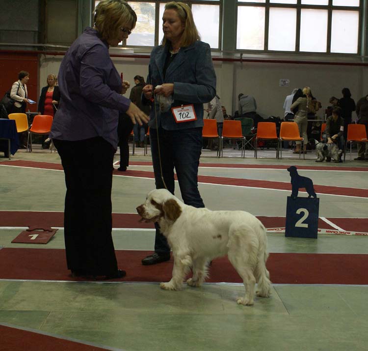 0_PuppyClassBitch_Diabf_CanCan_f