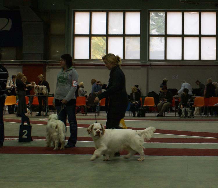 1_JuniorClassMales_Buhwu_SLTrastevere