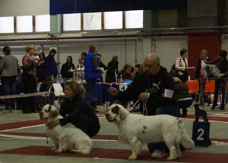 1_JuniorClassMales_Buhwu_Vellu