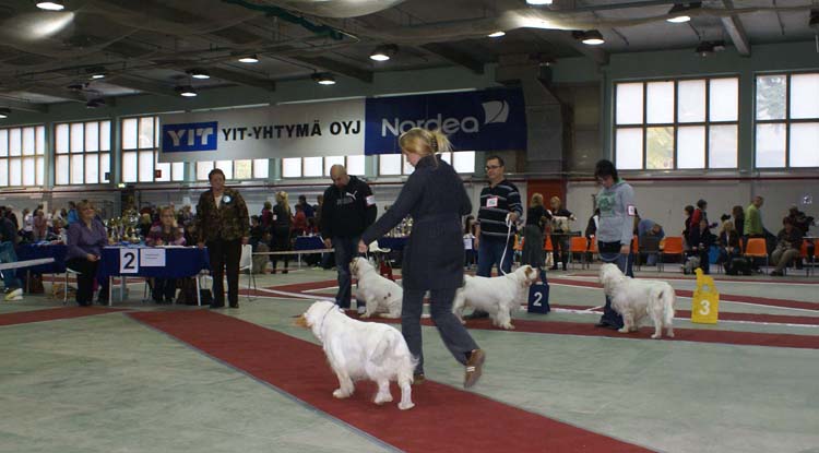 1_JuniorClassMales_Buhwu_Vellu_Hupi_SL_Trastevere