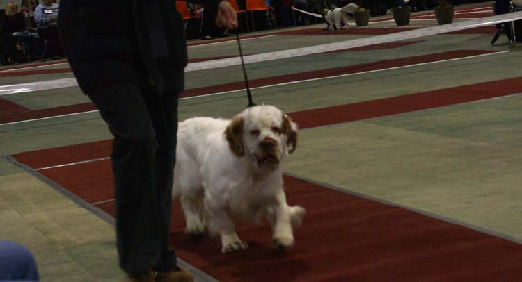 1_JuniorClassMales_Buhwu_c