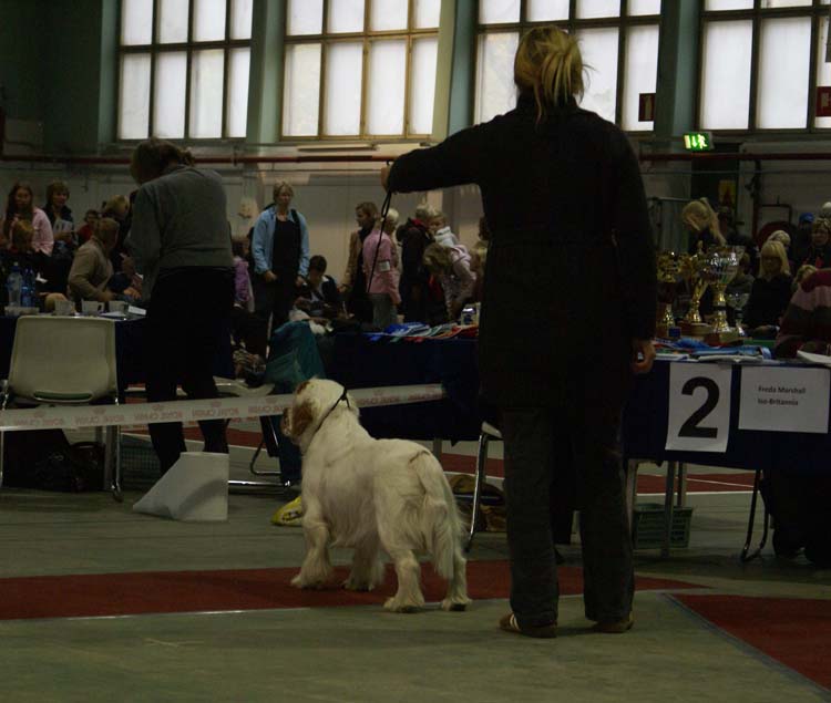 1_JuniorClassMales_Buhwu_d