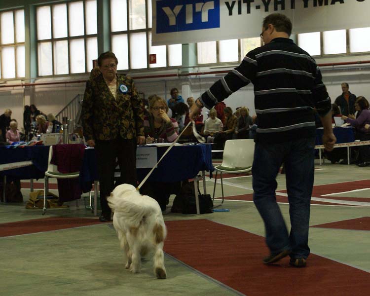 1_JuniorClassMales_Hupi