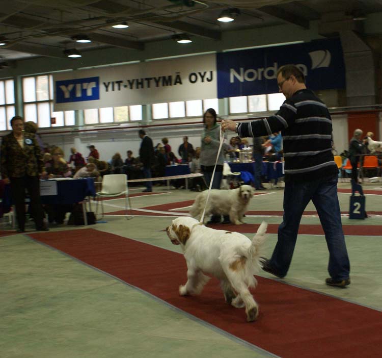 1_JuniorClassMales_Hupi_c