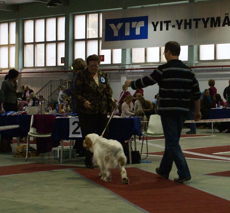 1_JuniorClassMales_Hupi_e