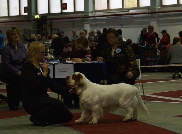 1_JuniorClassMales_Napo_b