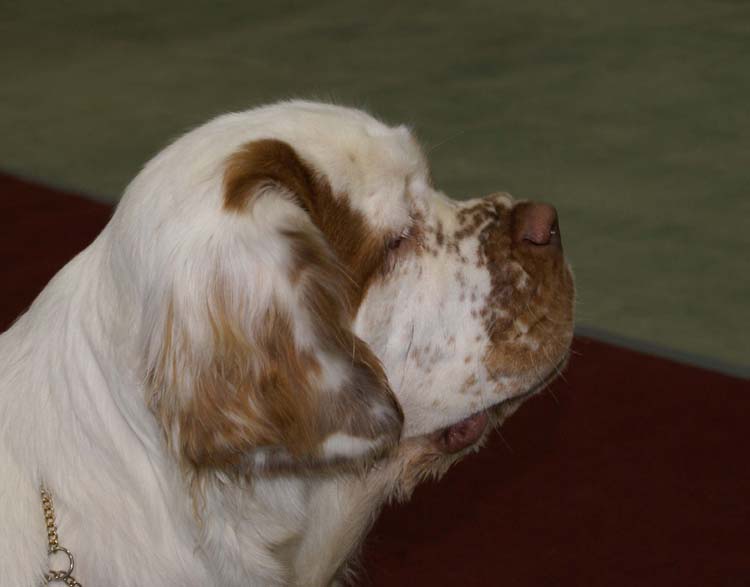 1_JuniorClassMales_Napo_d