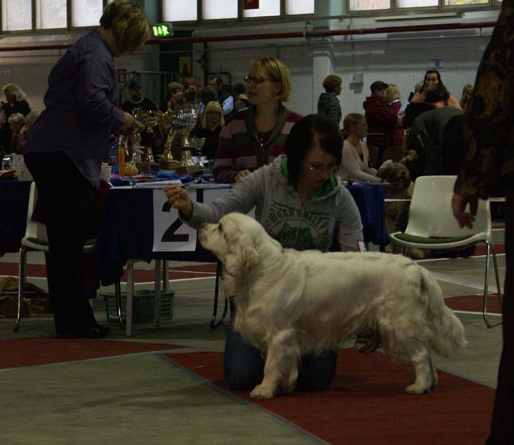 1_JuniorClassMales_SLTrastevere