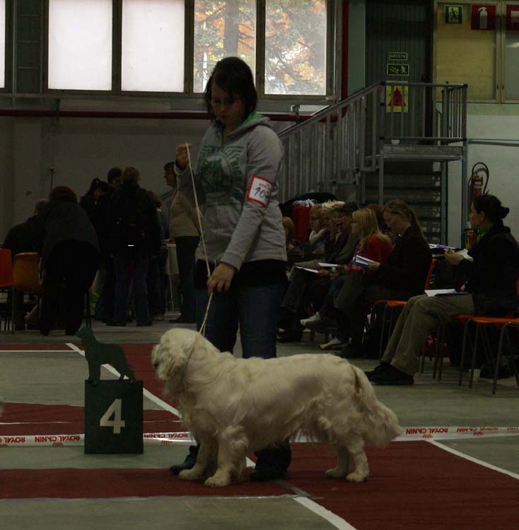 1_JuniorClassMales_SugarLoaf_Trastevere